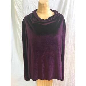 Eggplant velvet top